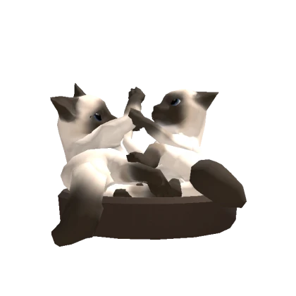 Siamese Cats Playing [DYNAMIC]