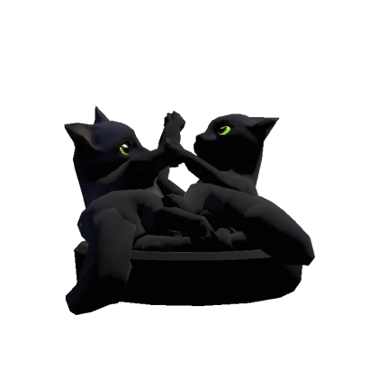 Black Cats Playing [DYNAMIC]