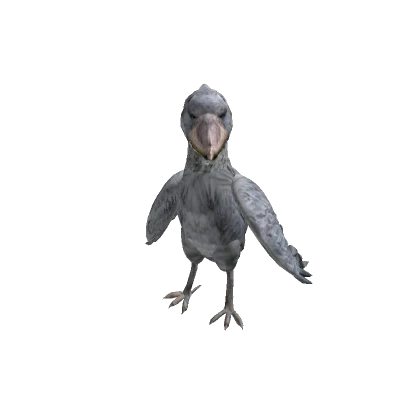 Shoebill Avatar