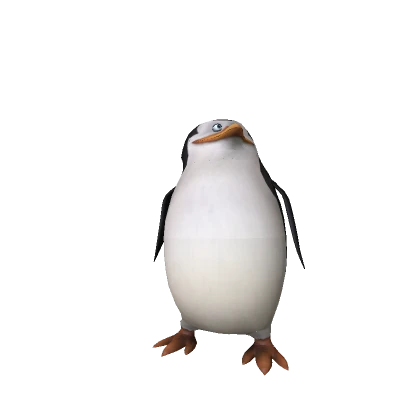 Mini Skipper