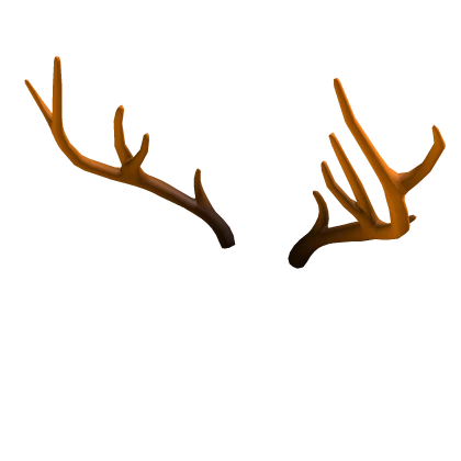 Antlers for Autumn