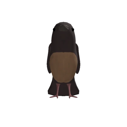 Brown Bird