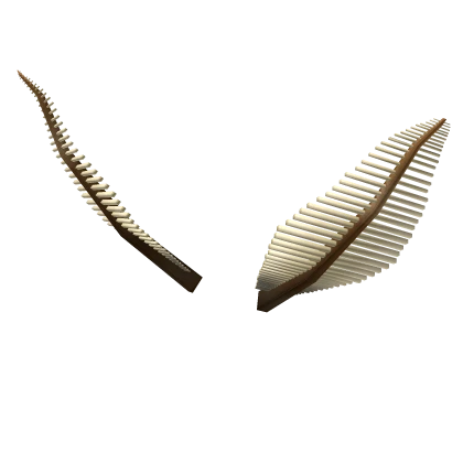 Moth Antennae