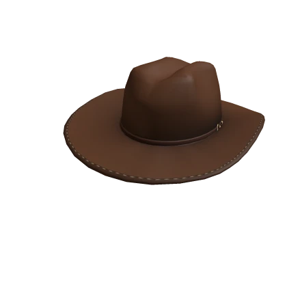 Brown Stetson