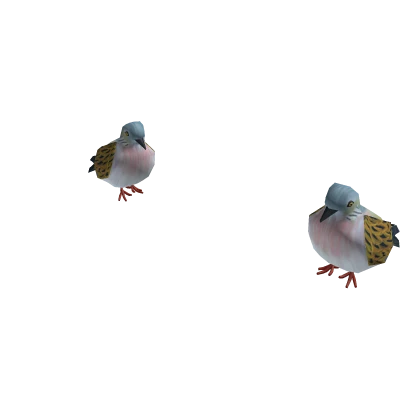 Turtle Doves