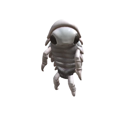 Isopod