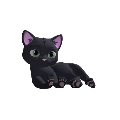 Cute Black Cat