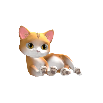 Cute Orange/White Cat