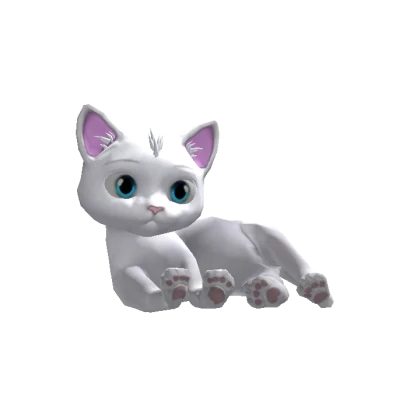 Cute White Cat