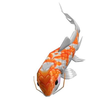 Koi Friend
