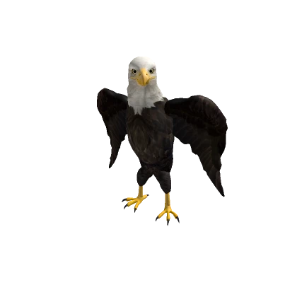 Eagle Avatar