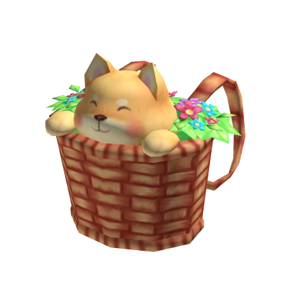 Shiba in a Basket