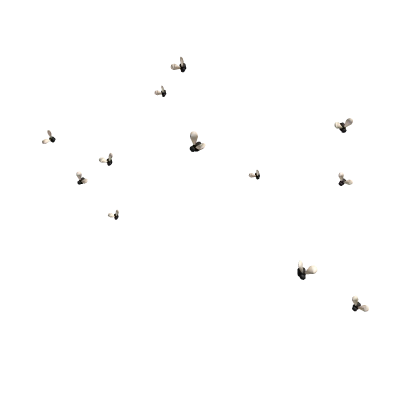 Buzzing Flies