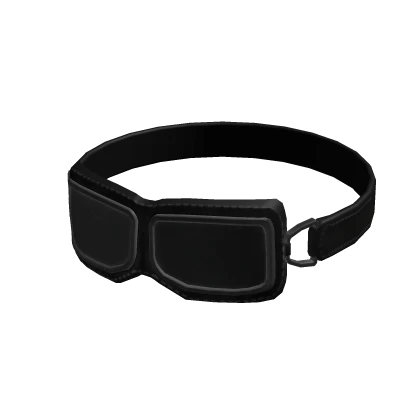 Black Desert Goggles