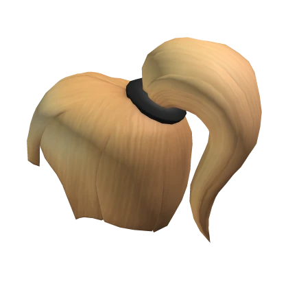 Blonde Ponytail Hair