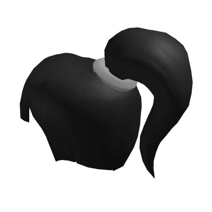 Black Ponytail Hair