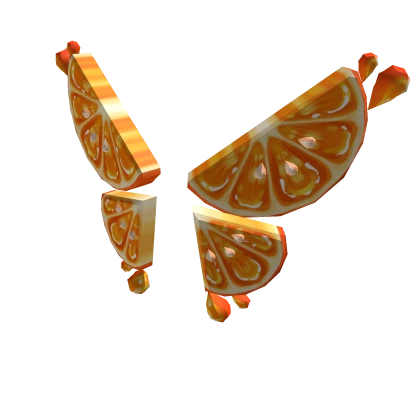 Orange Slice Wings