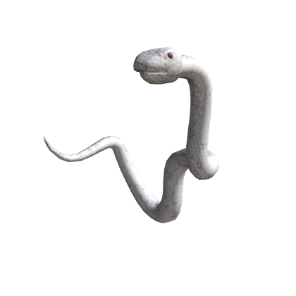 Albino Snek