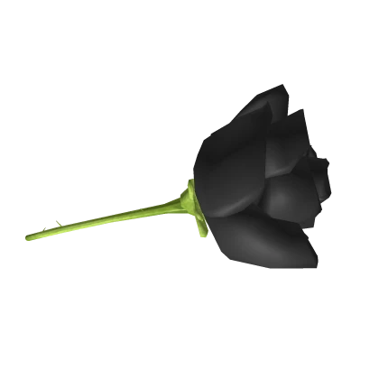 Dark Rose