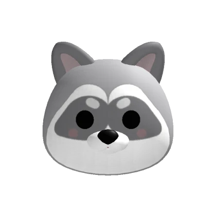 Kawaii Raccoon Head