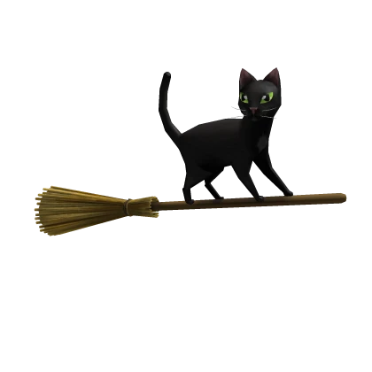 Magic Broom Black Cat