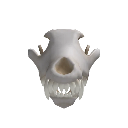 Wolf skull