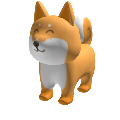 Shiba Puppy