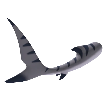 Grey Tiger Shark Tail