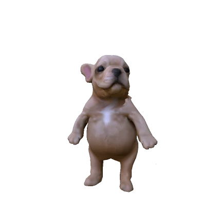 Mini Chubby Pibble Dog