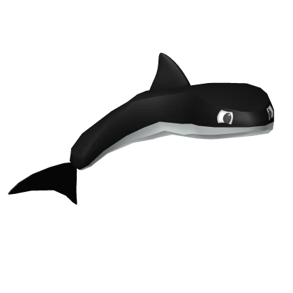 Orca Friend