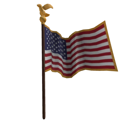 The Flag of the United States of America