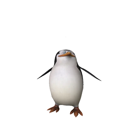 Skipper