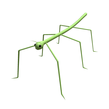 Stick Bug