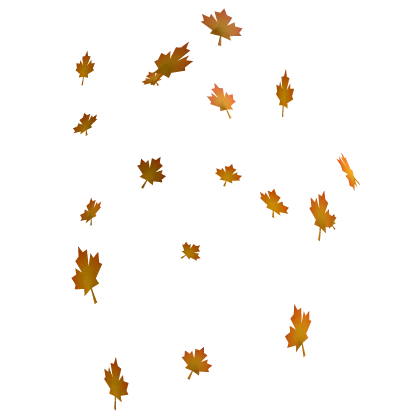 Maple leaves