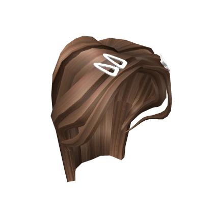 Long Brown Hair With Hairclips