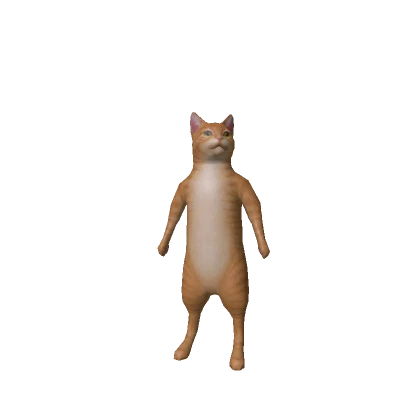 Orange Cat