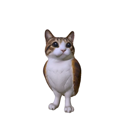 Meowl