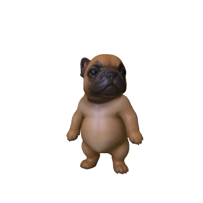 I m Pibble, Wash my Bellay