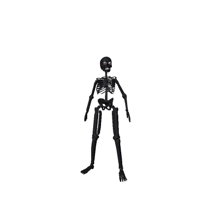 ✅Skeleton✅