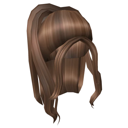 Long Half Up Ponytail In Brown