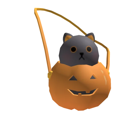 Pumpkin Cat