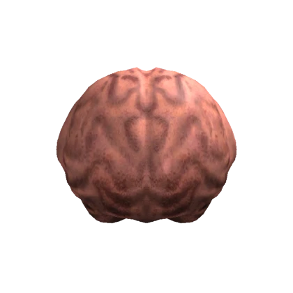 Brain Head