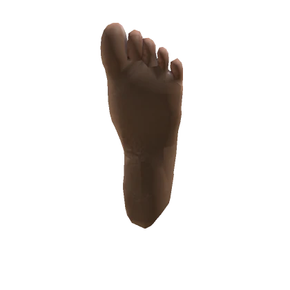 Foot