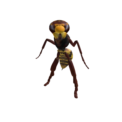 Wasp Avatar