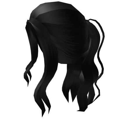 Aesthetic black wavy ponytail