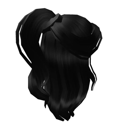 Black Half-Up Ponytail