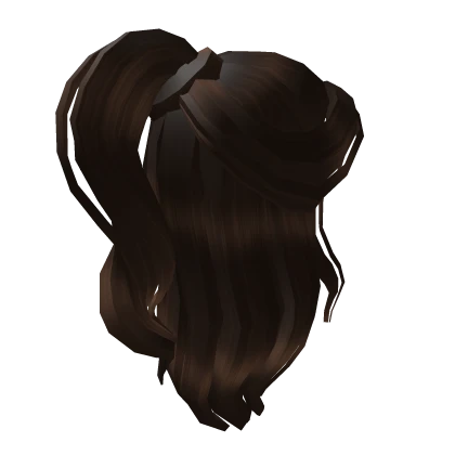 Dark Brown Half-up Ponytail