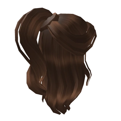 Brown Half-up Ponytail