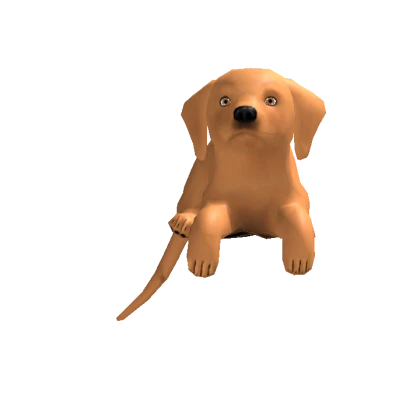 Dog Dynamic Head