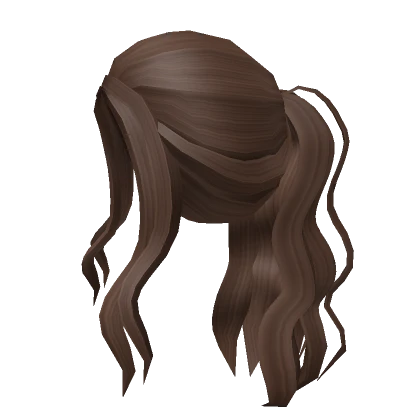 Aesthetic brown wavy ponytail